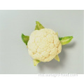 Bulk Organic Frozen Cauliflower